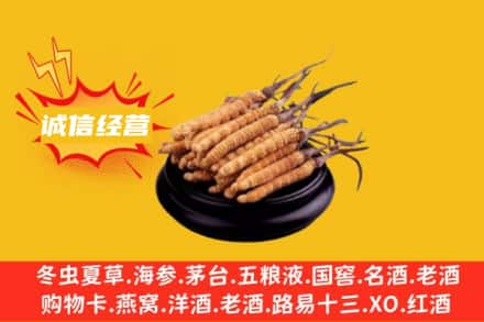 七台河回收冬虫夏草